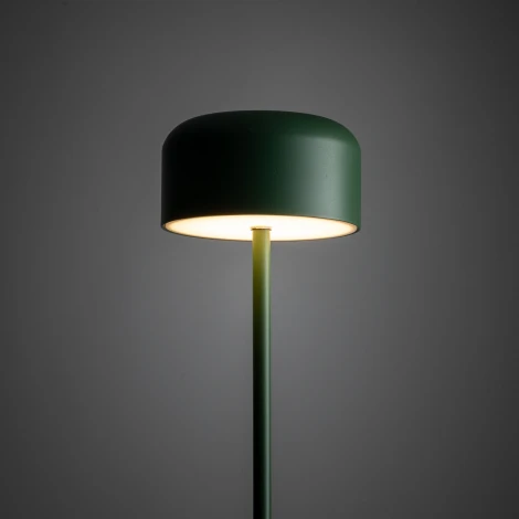 Торшер зеленый TK Lighting Noa 19007