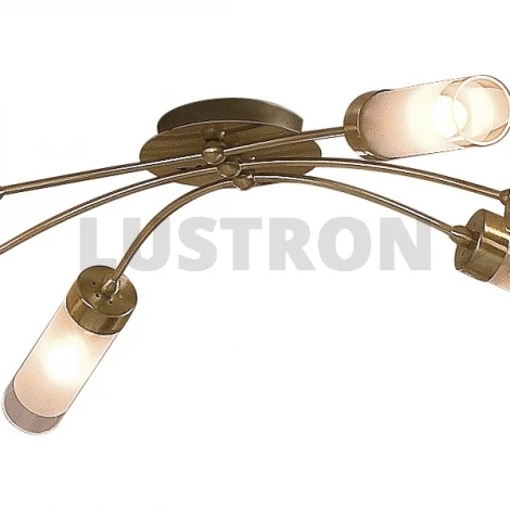 Потолочная люстра Citilux Ovale CL102162