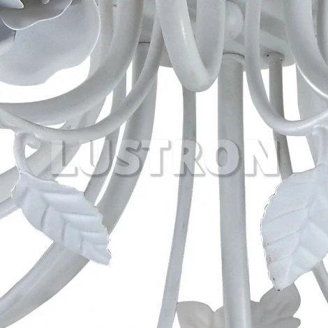 Потолочная люстра Arte Lamp Rosarium A1196PL-8WG