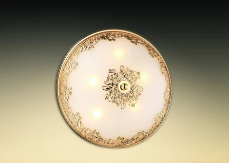 Настенно-потолочный светильник Odeon Light Alesia 2676/5C