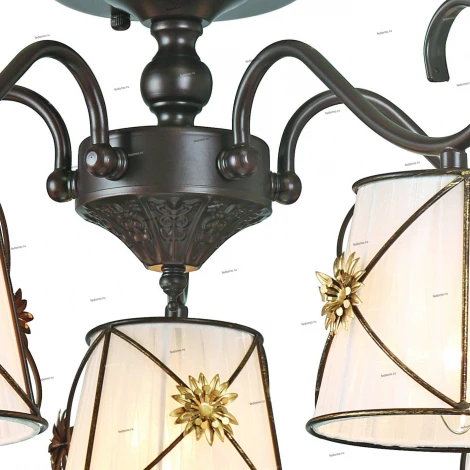 Потолочная люстра Arte Lamp Fortuna A5495PL-5BR