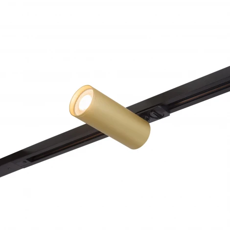 Трековый светильник Denkirs Tube DK6202-BG (220V)