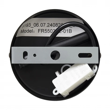 Подвесной светильник Freya Topi FR5503PL-01B1