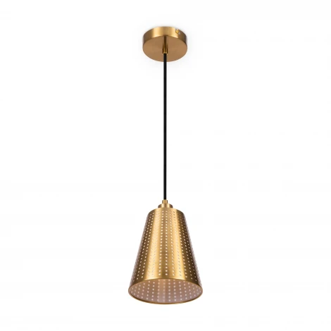 Подвесной светильник Freya Terra FR5260PL-01BS
