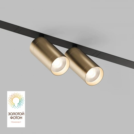 Трековый светильник Denkirs Smart Spot DK8012-BG (LED, 220V, управление смартфоном, голосовое управление, умный дом - Алиса)