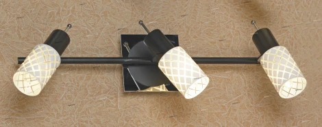 Спот Lussole Aggius LSX-5601-03