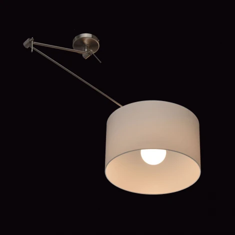 Подвесной светильник MW-Light Райне 494012001