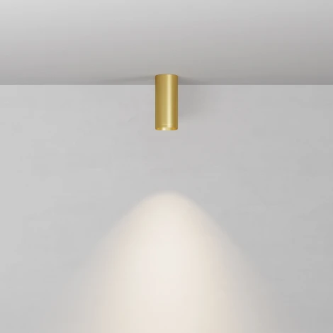 Потолочный светильник Maytoni Technical Focus C010CL-01MG-N