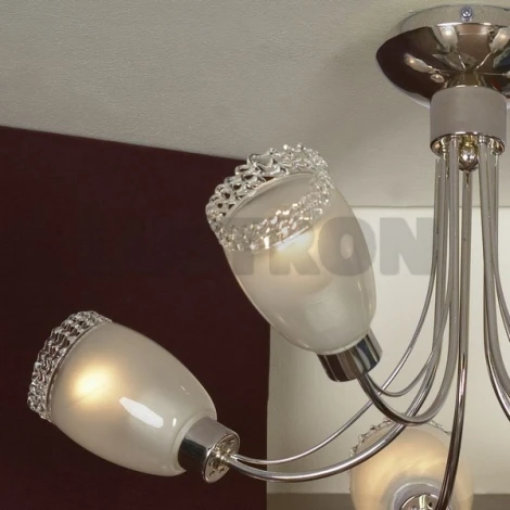 Потолочная люстра Lussole Bareggio LSL-3203-05