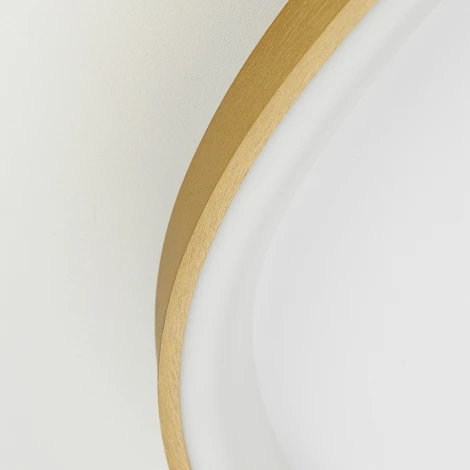 Потолочный светильник светодиодный Citilux Genka CL756A162 Золото Смарт