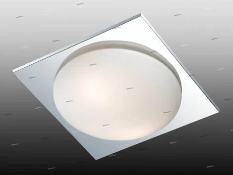 Настенно-потолочный светильник Odeon Light Brido 2761/2C