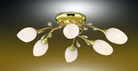 Потолочная люстра Odeon Light Fiera 1604/6