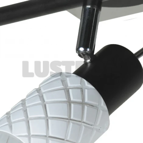Спот Lussole Aggius LSX-5601-03