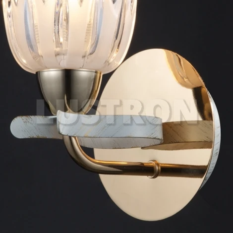 Бра Maytoni Eurosize 9 TOC009-01-G