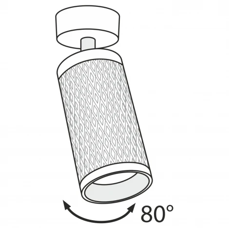 Потолочный светильник Focus Design GU10 1x50Вт Maytoni Technical C034CL-01G (220V, круглые)
