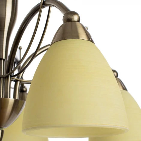 Подвесная люстра Arte Lamp Panna A8612LM-5AB