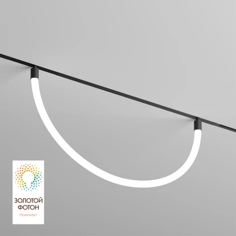 Трековый светильник с гибким неоном 220 Denkirs Smart Ray DK8060-BK (LED, пульт управления)
