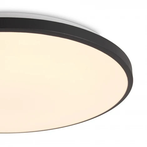 Потолочный светильник светодиодный Freya Obelle FR6211CL-L24B 24Вт LED