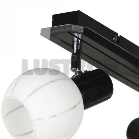 Спот Lussole Mara LSL-8901-02