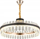 Подвесная люстра Aployt Honori APL.027.03.102 (LED, 220V, на цепи, кольцо)