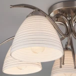 Потолочная люстра Eurosvet Megan 30121/5 сатин-никель (220V)