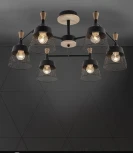 Потолочная люстра на штанге Seven Fires Laurens SF3386/6C-BK-WD