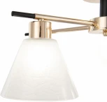 Потолочная люстра на штанге Arte Milano Napoli 322119/3 FG+BK (220V)