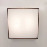 Потолочный светильник Citilux 914 CL914142