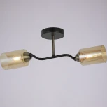 Потолочная люстра на штанге ILLUMICO IL8148-2COU-79 BK BR Bice (220V)