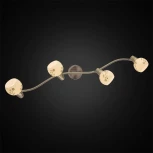 Спот на штанге Citilux Соната CL520543 (220V, цветы, круглые)