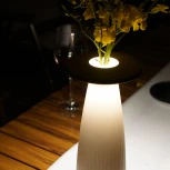 Интерьерная настольная лампа светодиодная с аккумулятором Ubiqua Flora 339101 (регулировка яркости, сенсорный выключатель, IP54)