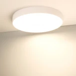 Накладной точечный светильник круглый Arlight 034818 (LED, 220V, круглые, IP40)