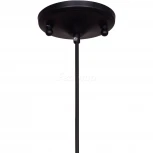 Подвесной светильник Favourite Carrera 1747-1PC