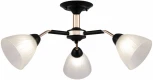 Потолочная люстра на штанге Arte Milano Napoli 324108/3 BK+FG (220V)