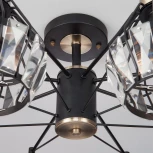 Потолочная люстра Eurosvet Lord 70075/8 черный (220V)