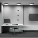 Потолочный светильник круглый Technical C032CL-45W2.7K-RD-MG Maytoni Zon C032CL-45W2.7K-RD-MG (LED, 220V, круглые)