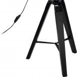 Интерьерная настольная лампа на треноге Eglo Covaleda 49617 (220V, выключатель)