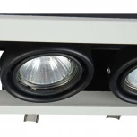 Встраиваемый светильник Metal Modern GU10 2x50Вт Maytoni Technical DL008-2-02-W (220V)