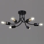 Потолочная люстра Reluce 01730-0.3-06 BK