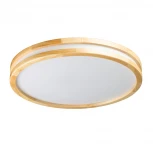 Потолочный светильник круглый светодиодный De City Норден 660015401