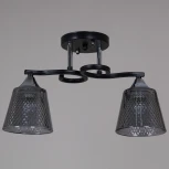 Потолочная люстра на штанге Reluce 06089-0.3-02 BK+CR (220V)