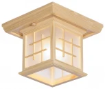 Потолочный светильник Velante 592 592-717-01 (220V, куб)