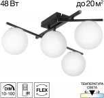 Потолочная светодиодная люстра на штанге с пультом управления Citilux Dorsy CL223142 (плафоны шарики) (регулировка яркости, 220V, шарики)