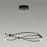 Подвесная люстра Odeon Light L-Vision 5000/45L