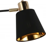 Потолочная люстра на штанге ILLUMICO IL6116-2COU-79 BK GD Abelie (220V)