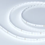 Светодиодная лента RT 2-5000 24V Cool 8K 1.6x (2835, 490 LED, PRO) (Arlight, 10 Вт/м, IP20) 019912(1)