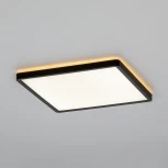 Настенно-потолочный светильник светодиодный с подсветкой Citilux Norma CL748K301 (220V, IP40)