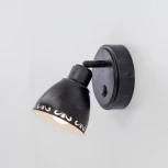 Спот Citilux Робуста CL509512