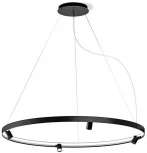 Подвесной светильник Aployt Jolanta APL.041.13.50