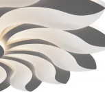 Потолочная люстра Freya Cameron FR10023CL-L127W